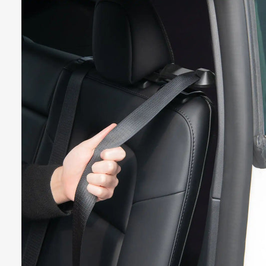 Tesla Series - Backseat Seatbelt Guide | TO250